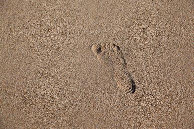 合作生存恐怖游戏《CRYO》Steam页面 发行日期待定